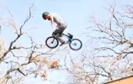 Mat Hoffman, 40th birthday