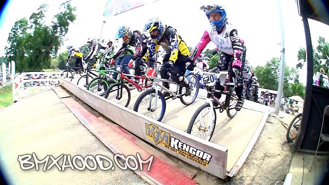 Women Cruisers, BMX, Southpark