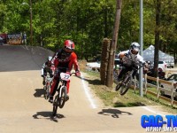 Vic and Phil, Redline Gold Cup