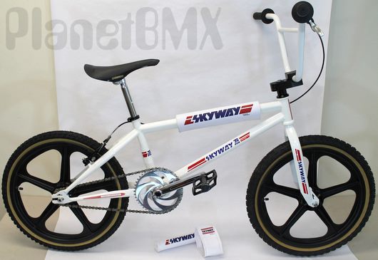 skyway t/a complete