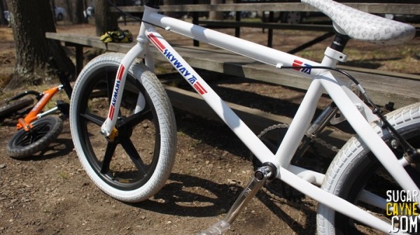 skyway TA 2013 4