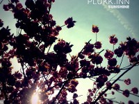 plukk.inn sunshine