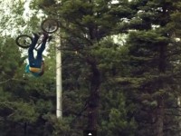 dreamline red bull