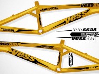 Yess-2014-frames