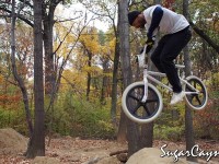 Crazy Al Cayne, Cunningham Trails