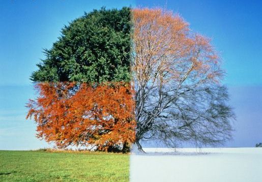 season of change