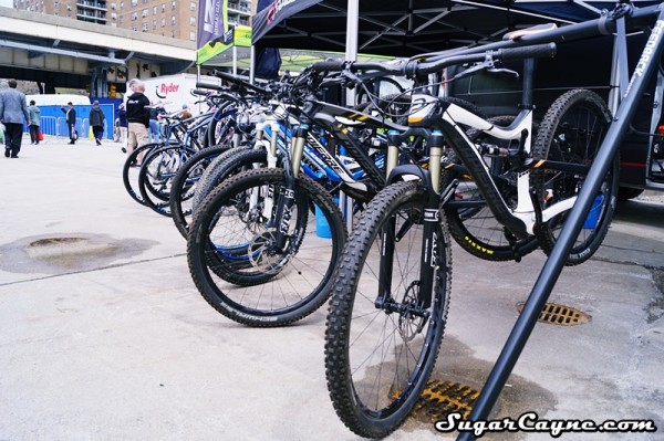 Raleigh bikes