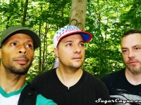 crazy al cayne, steve-o, supes