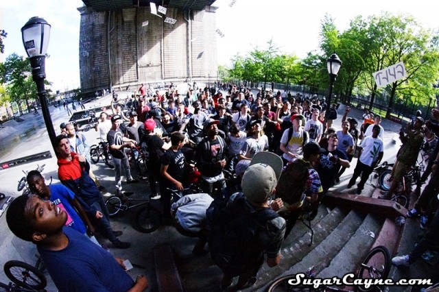 cult Jam L.e.s.