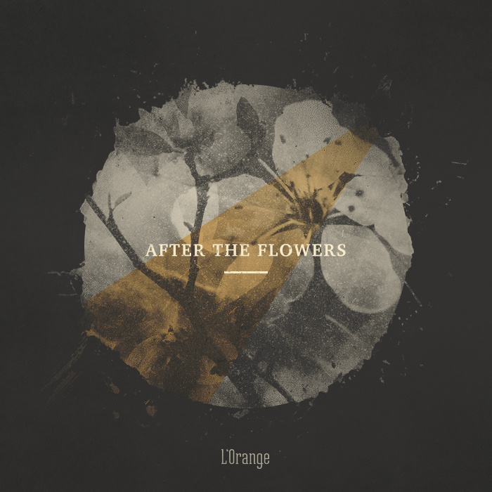 l orange after the flowers