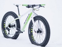 Salsa Beagrease Green Edition fat bike