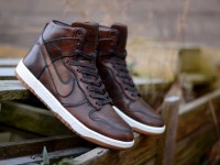 nike-dunk-high-sp-burnished-leather-2