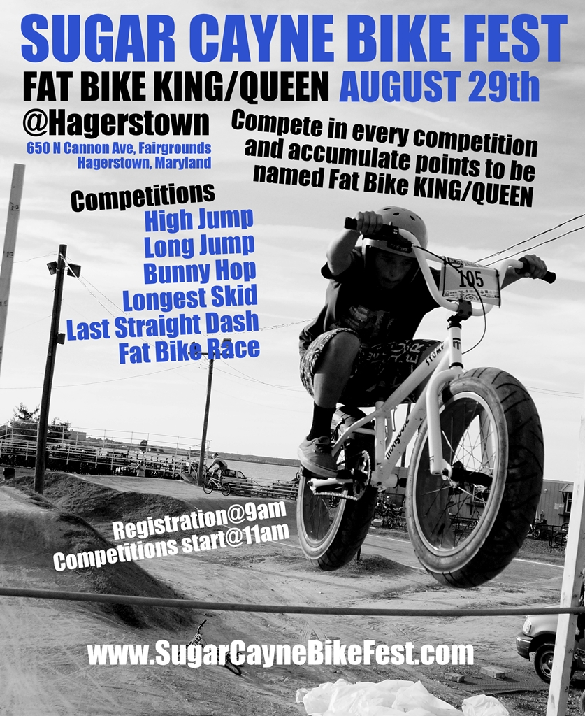 Fat Bike King Hagarstown