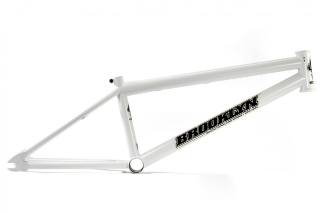 Nigel Sylvester Signature BMX 2