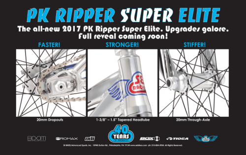 PK Ripper 2017