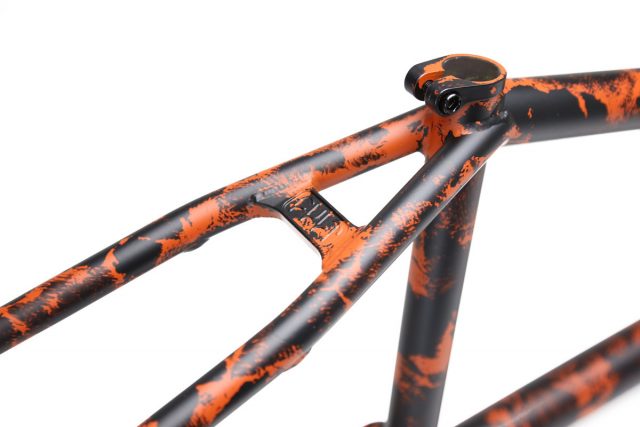 DAKOTA ROCHE SIGNATURE FRAME 2017