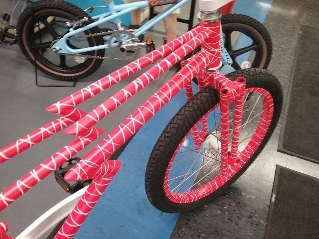 Marty Edan Zagmaster custom bmx front