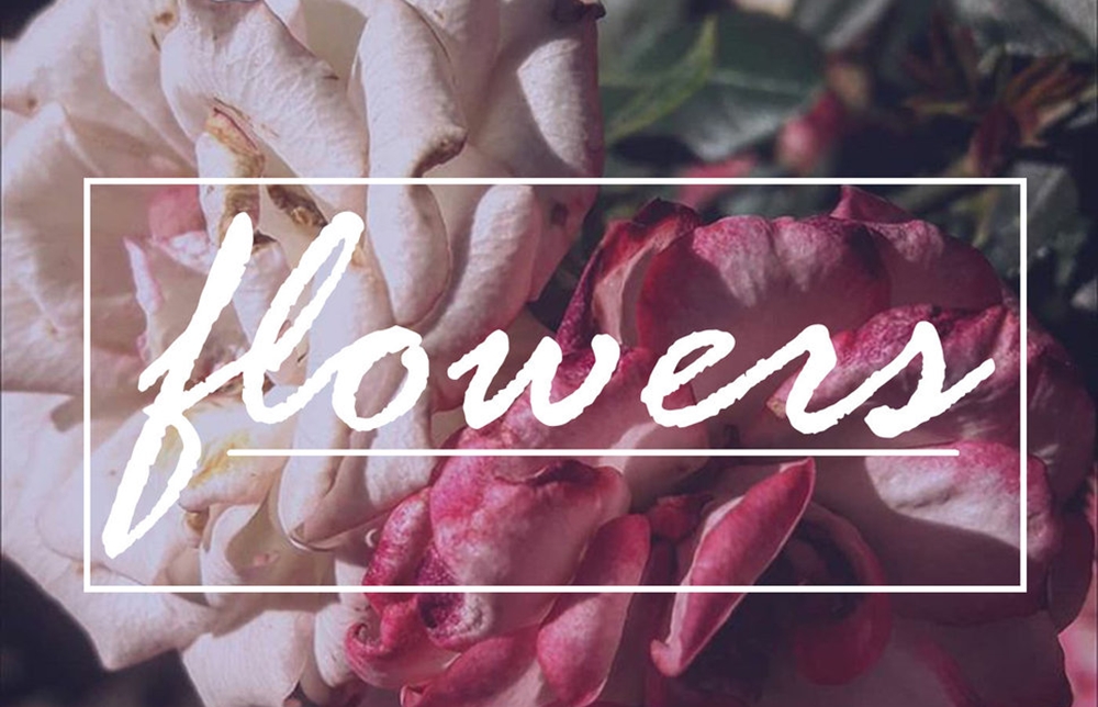 Flowers Sthen