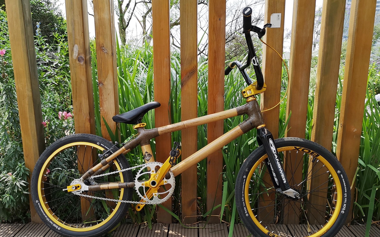 BMX Tuah, simple bikes
