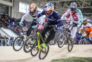 Joris daudet world cup manchester