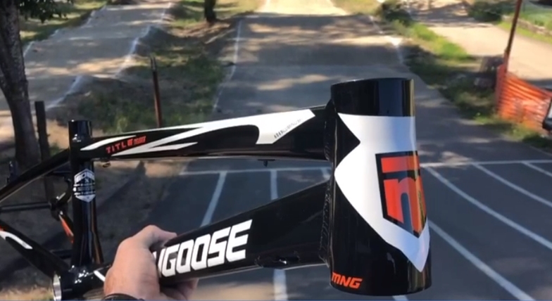 2020 mongoose title elite pro head tube