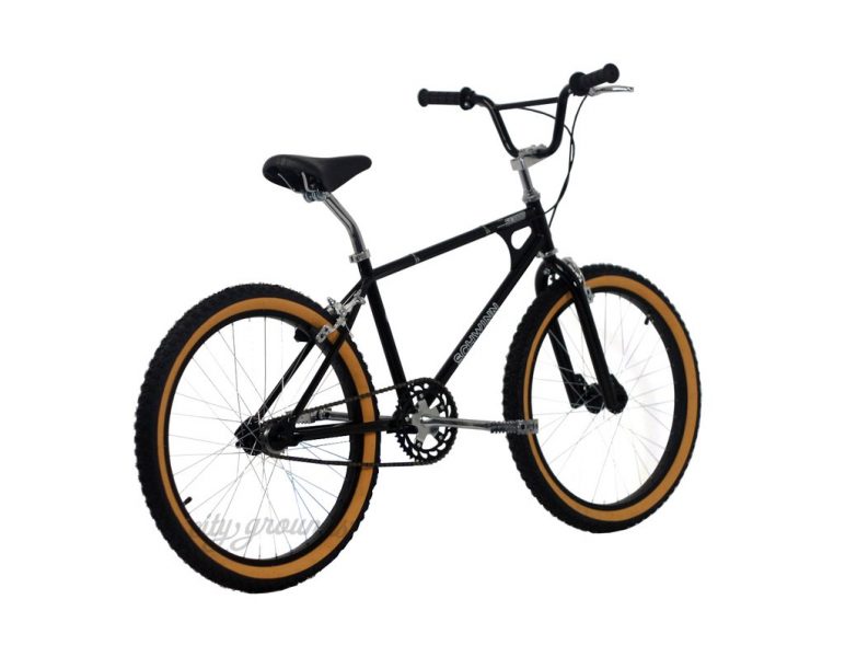 2019 schwinn sx1000 bmx