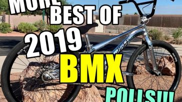 best of 2019 polls