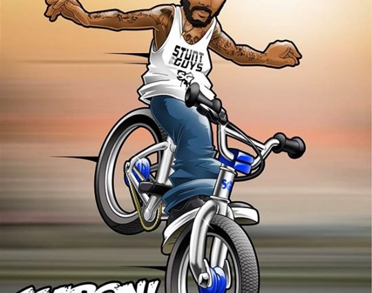 stefano scaroni bmx art