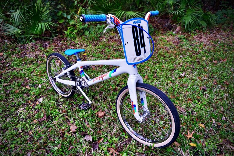 B.O.T.D. Steve's Retro-Mod Haro Citizen XXL