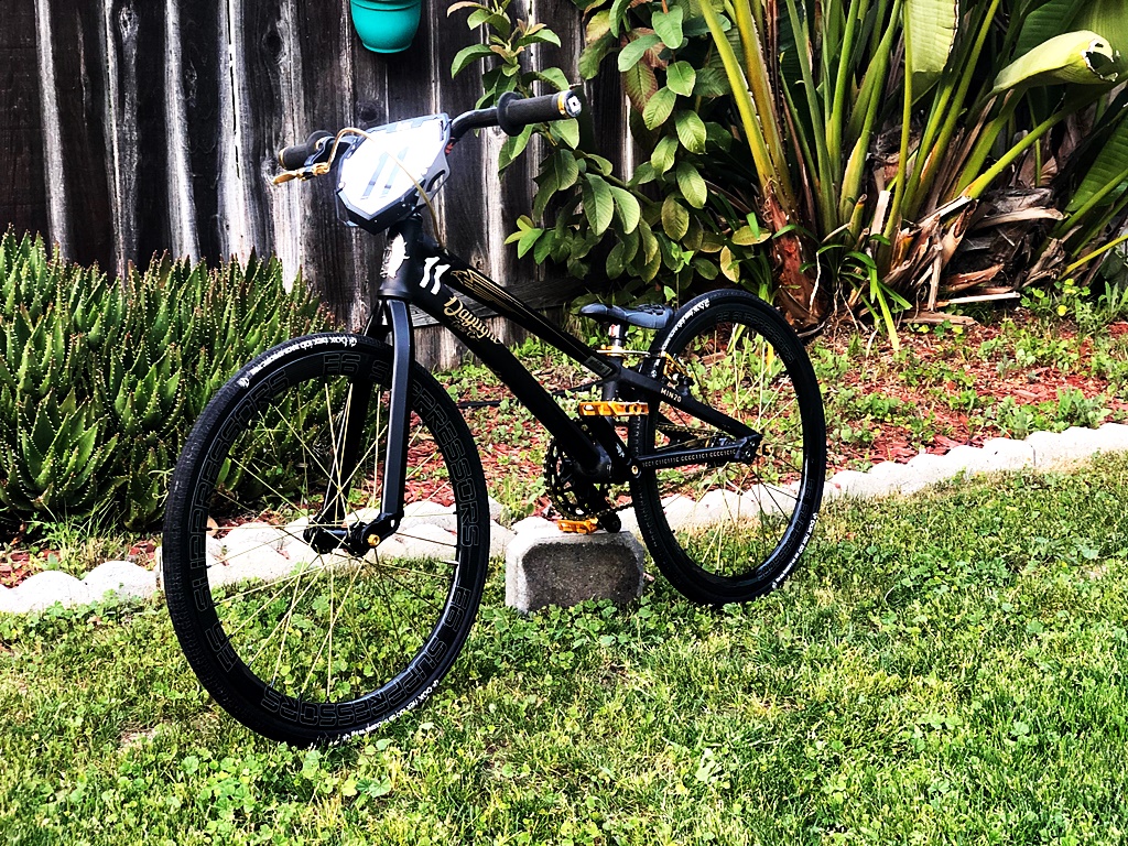 daylight aric c1 mini blacklight