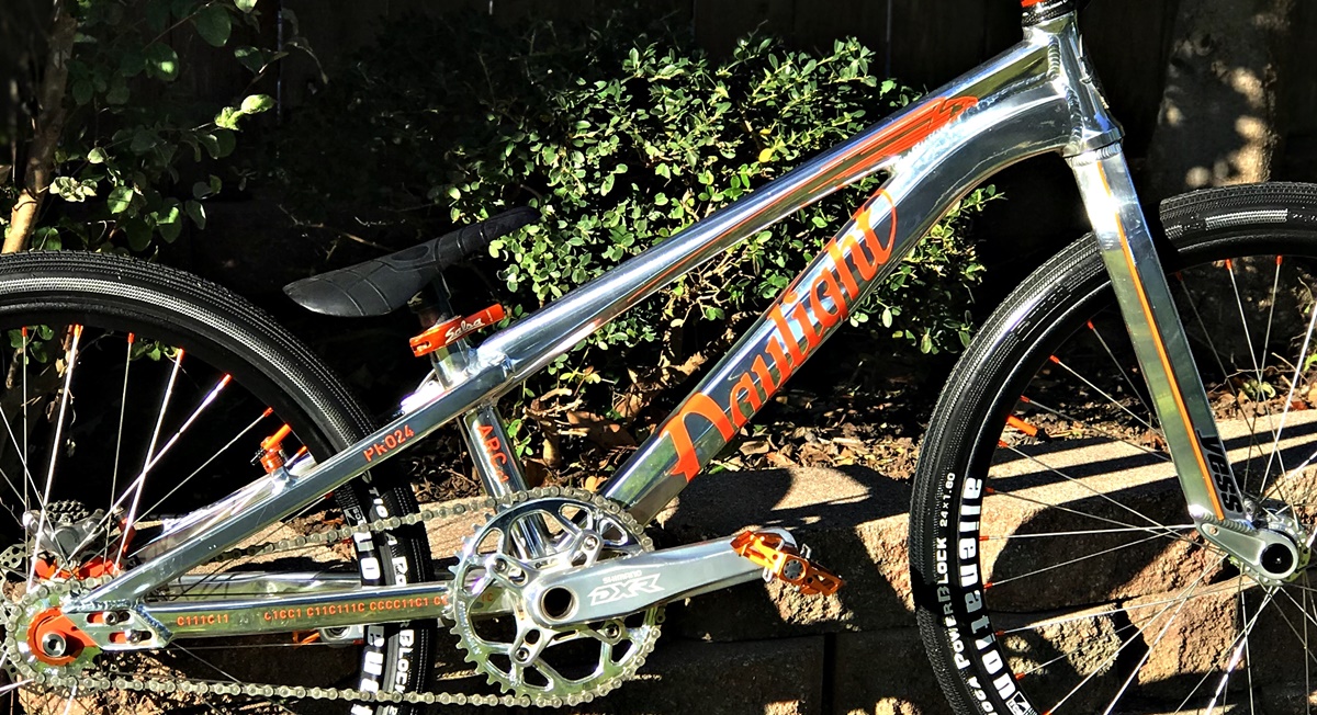 daylight polished bmx bike