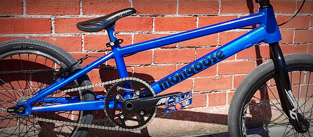 custom blue mongoose title elite pto xxl