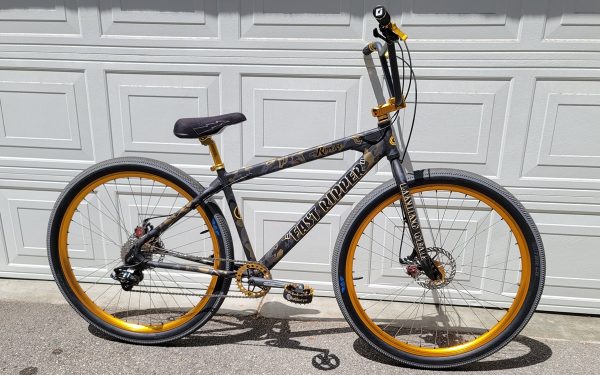 Bike Of The Day: Joe's Custom Painted 2020 SE Fast Ripper