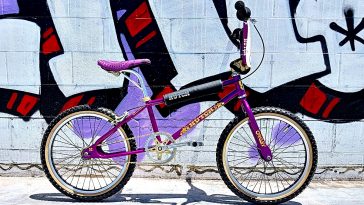 hutch expert 1984