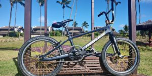 redline carbon flight