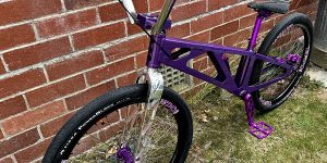 Jayhawk 24in BMX Bike