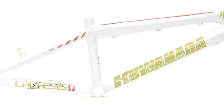 Kuwahara lachesis omega