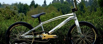 2024 Daylight Wavelength BMX Racing Bike