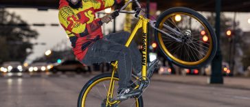 D Blocks SE Bikes Fast Ripper 2025