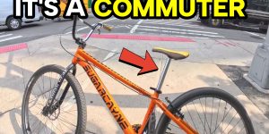 Queensbridge to Highbridge BMX Commute NYC