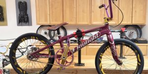 Raspberry 2023 Daylight Ar C2 BMX Racing Bike