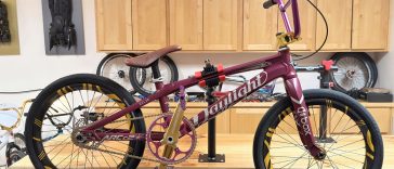 Raspberry 2023 Daylight Ar C2 BMX Racing Bike