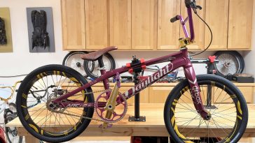 Raspberry 2023 Daylight Ar C2 BMX Racing Bike