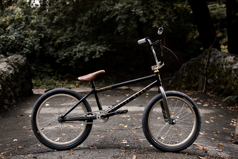 Bike Of The Day: Corey's 2018ish T-1 Ruben BMX Bike