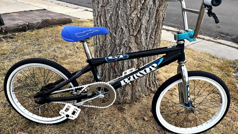 GT Bump BMX Bike