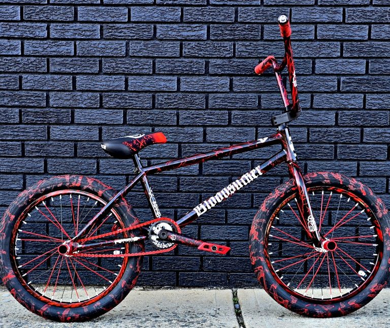 This One Looks Sick!! 2023 Volume Bloodsucker BMX Bike