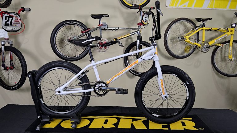 David's 2026 Torker Freestylist BMX Bike