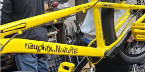 Naughty By Nature BMX Bike