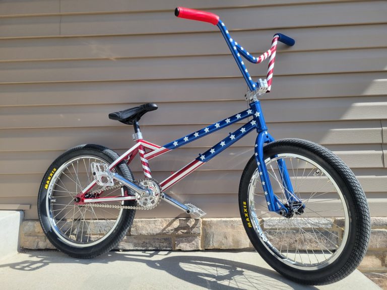 Heath's Custom Nowear Danimal BMX Bike