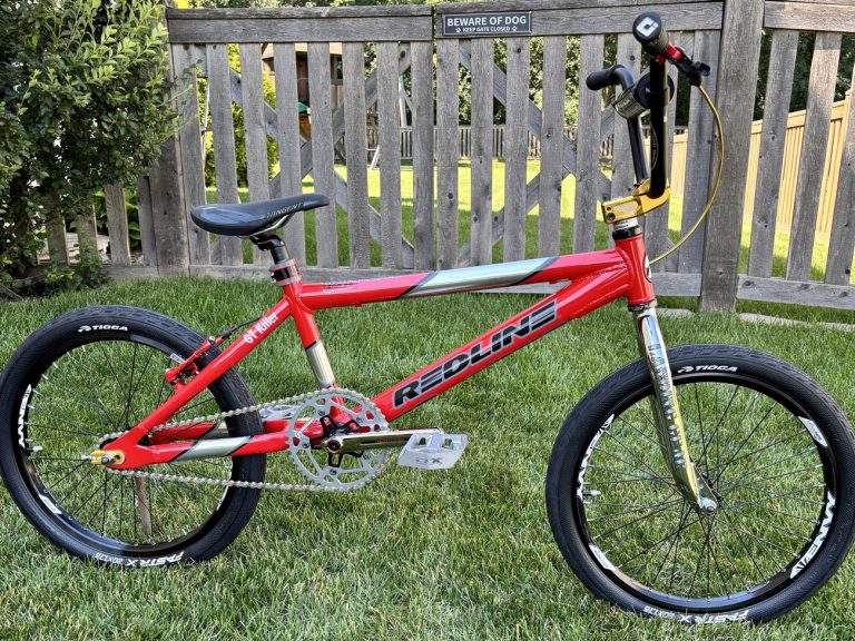 Eric's 2002 Redline Proline BMX Racing Bike Looks Clean
